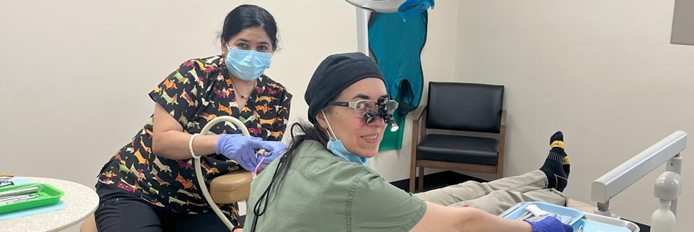 Idyll Dental